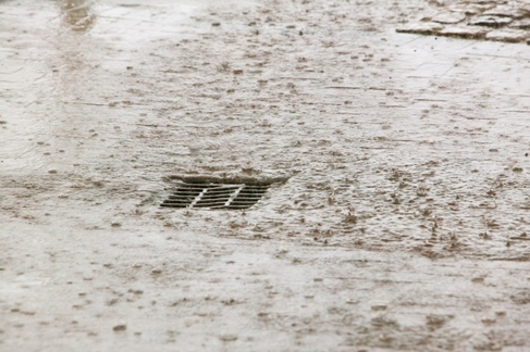 믿음하수구 PC 이미지 1673003